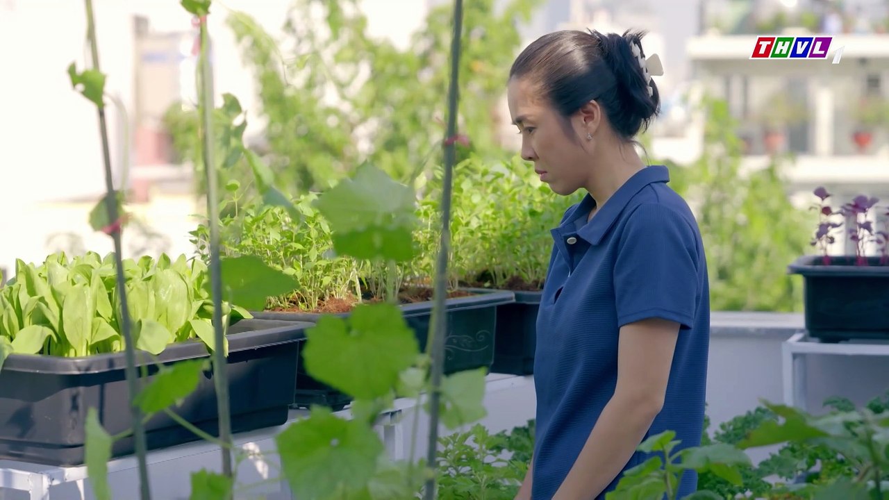 BÓNG MA HẠNH PHÚC - TẬP 13 - PHIM VIỆT NAM THVL1 – BONG MA HANH PHUC