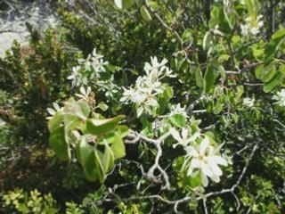 Balade du 1er Mai 2008