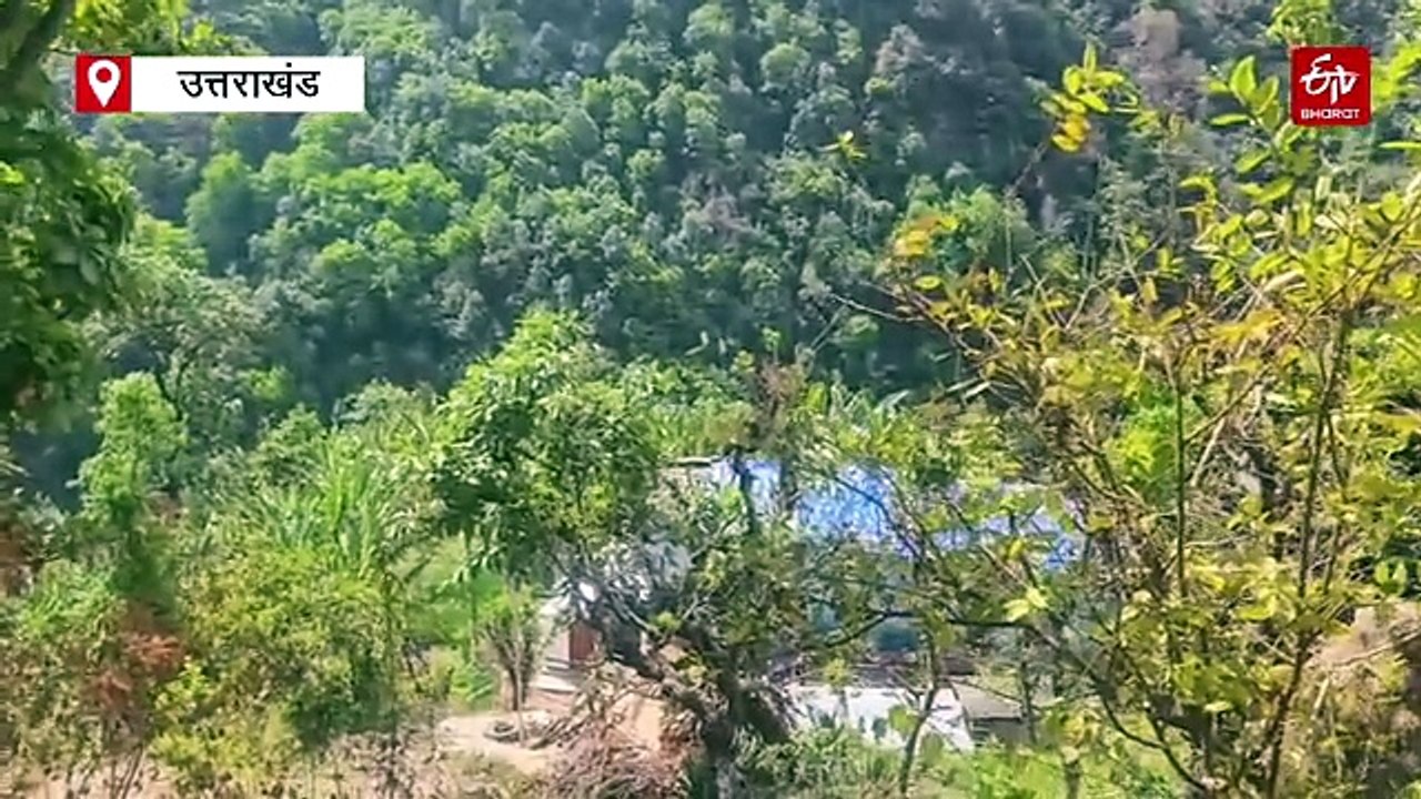 पिथौरागढ़ में गुलदार का आतंक, मूकबधिर युवती पर किया हमला, चेहरे पर गहरे जख्म