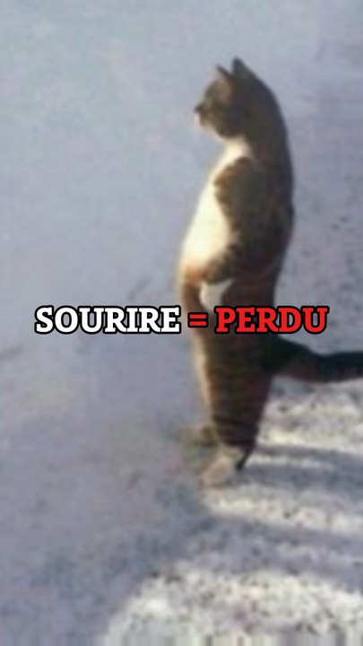 As quel niveau tu as perdu ? 🤣