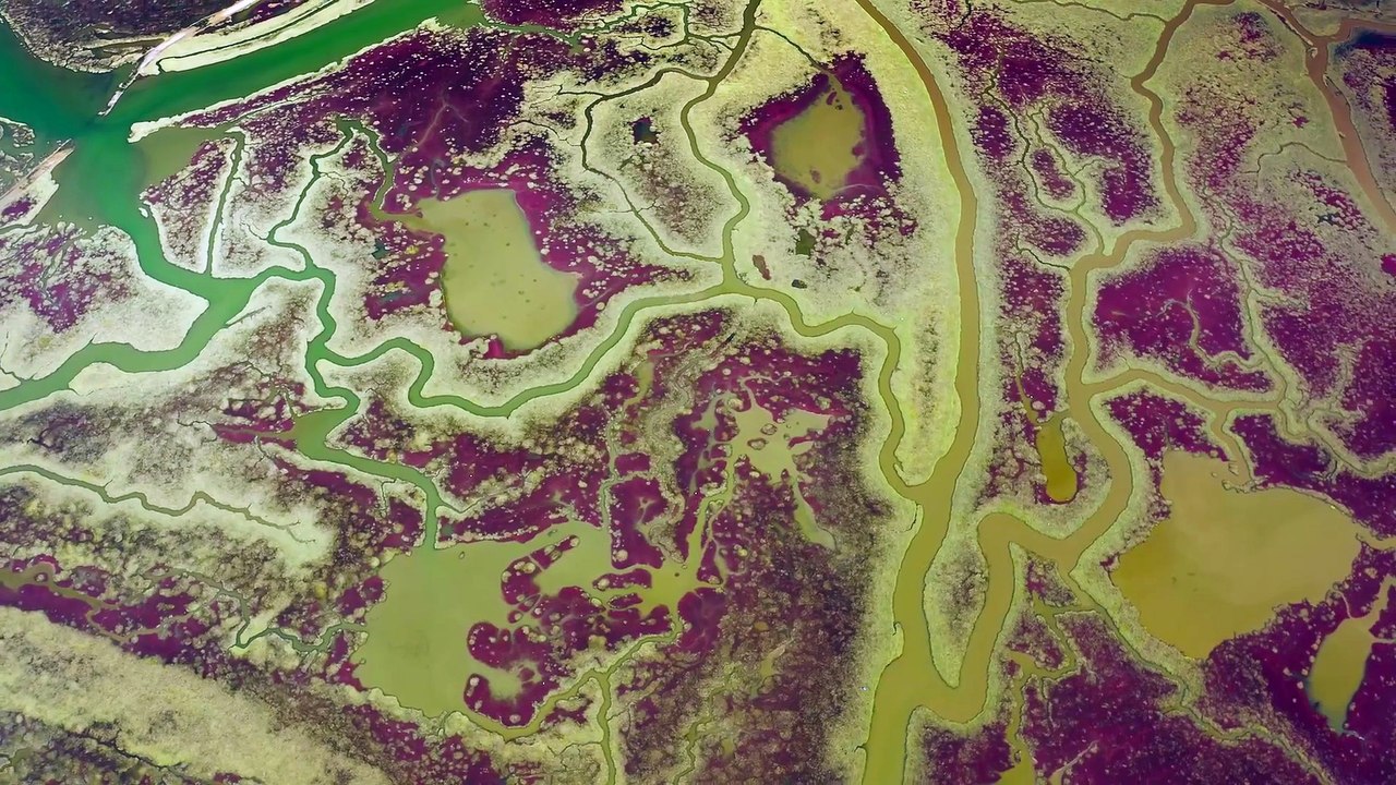 Greece: The Land of Birds of Prey - Trailer