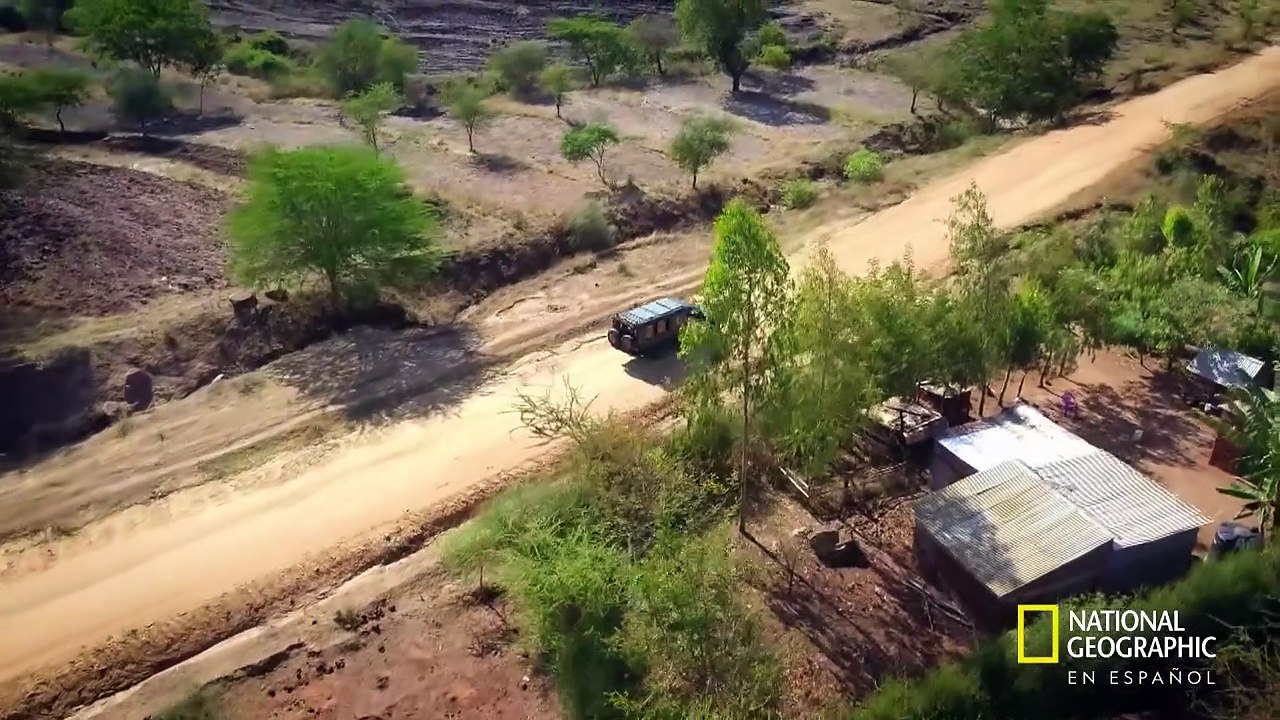 La historia de Dios: Dios habla a través de las visiones