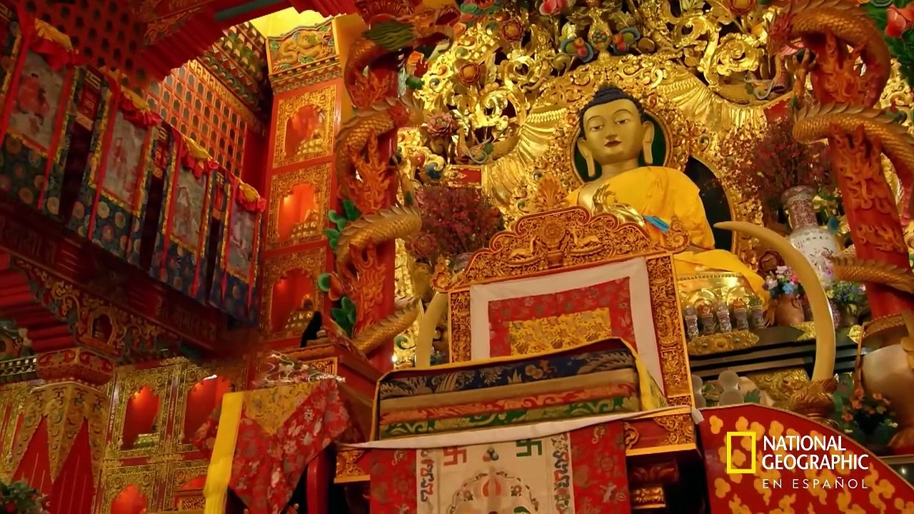 la historia de Dios ¿está Dios entre nosotros?