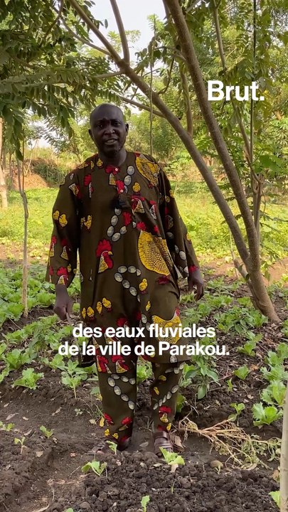 Bénin : quelles solutions face aux challenges des maraîchers ?