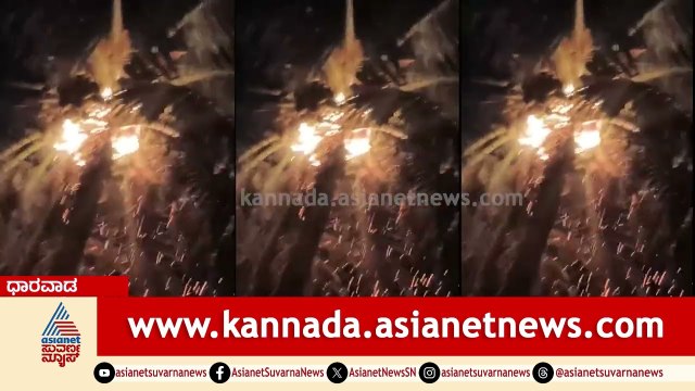 ಸಿಡಿಲು ಬಡಿದು ಹೊತ್ತಿ ಉರಿದ ತೆಂಗಿನ ಮರ; ವಿಡಿಯೋ ವೈರಲ್ | Dharwad | Lighning | Coconut Tree | Suvarna News