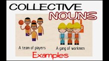 24 - COLLECTIVE NOUNS