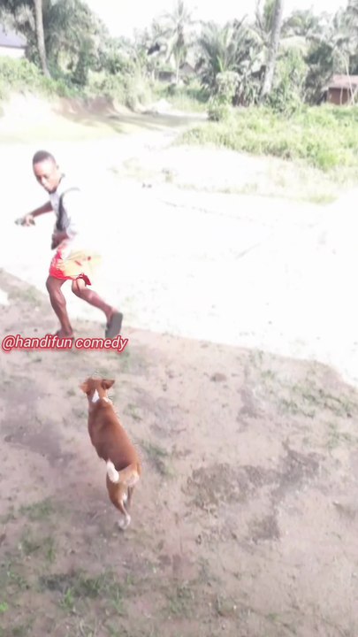 He claimed to be a Pro Barber until he saw the DOG! 😂