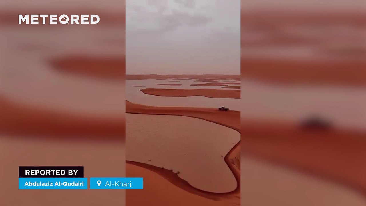 The Arabian desert is filling with lakes and meadows after extraordinary rainfall