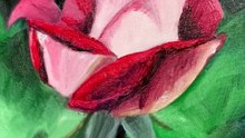 Peinture à l'huile d'une rose