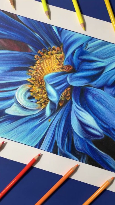 Référence photo vs dessin