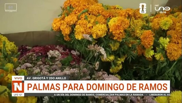 COMERCIANTES PREPARAN PALMAS PARA DOMINGO DE RAMOS