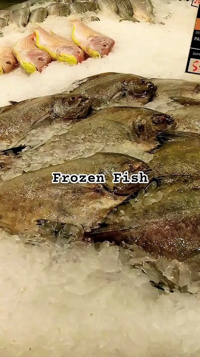 Frozen Fish