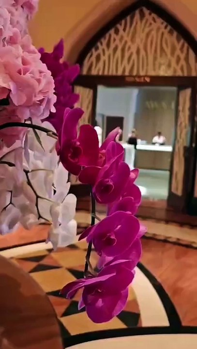 WhatsApp Video 2026-03-27 at 9.17.10 PM