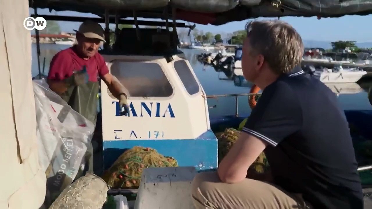 Pulpo en peligro - Tras sus rastros en el Mediterráneo | DW Documental