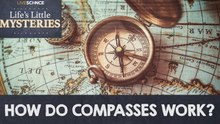 How Do Compasses Work?