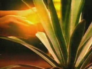 Os Mutantes caminho do coração capitulo 3 parte 1