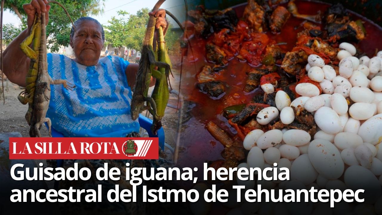 Guchachi dxita; el platillo zapoteca de iguana que se come en Semana Santa