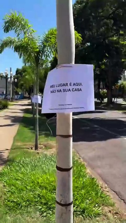 Padre Machado usa bom humor em defesa das palmeiras neste Domingo de Ramos