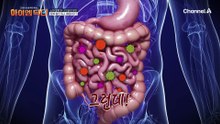 많이 먹지도 않았는데 소화가 안 된다?! 꽁꽁 숨겨진 원인! '장독소'에 있었다