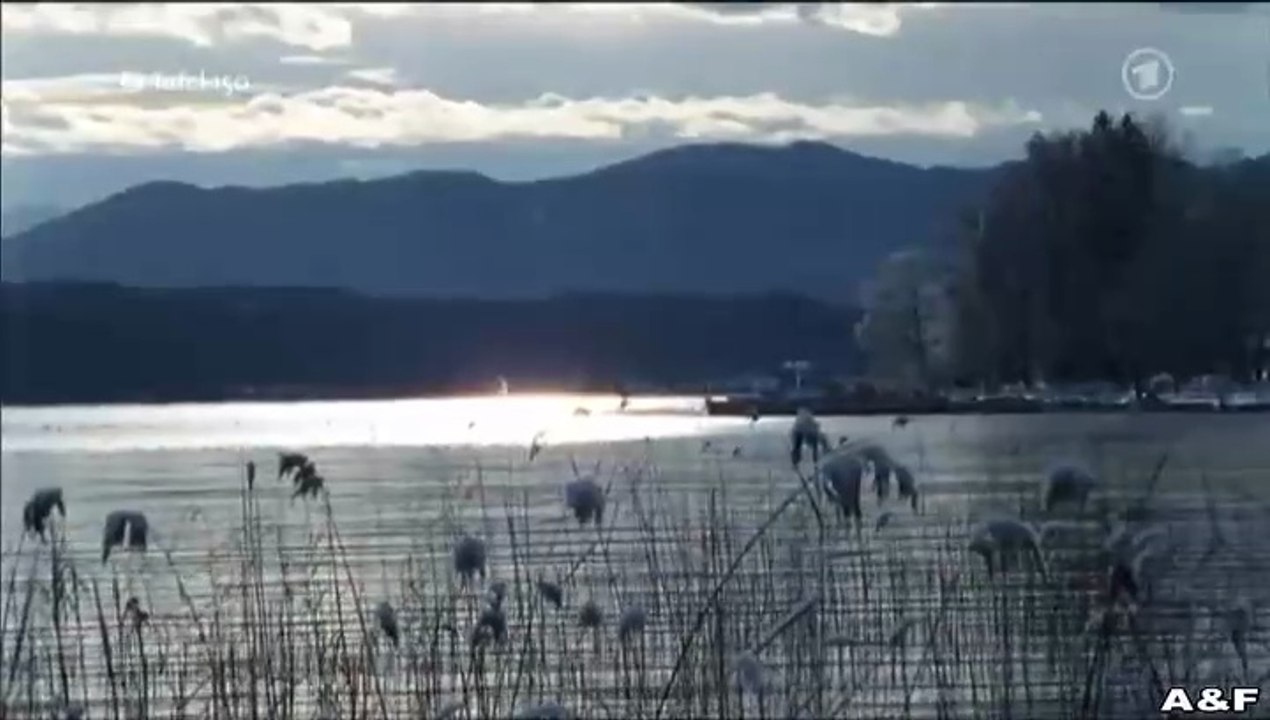 Mord in bester Gesellschaft -05- Das eitle Gesicht des Todes