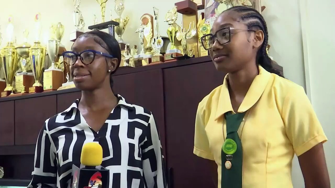 SECONDARY SCHOOL BUSINESSES