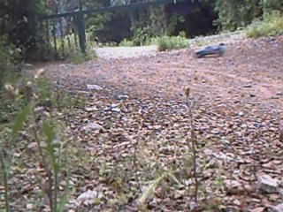 2 Rustler et 1 Rustpede ...