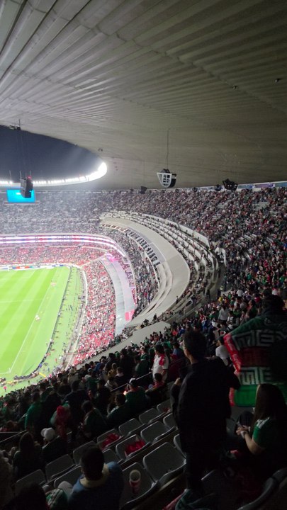 El abucheo que se llevó la Selección Mexicana al final del partido contra Portugal
