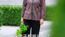 短剧 - 离婚后婆婆决定和我过 (全集上篇)