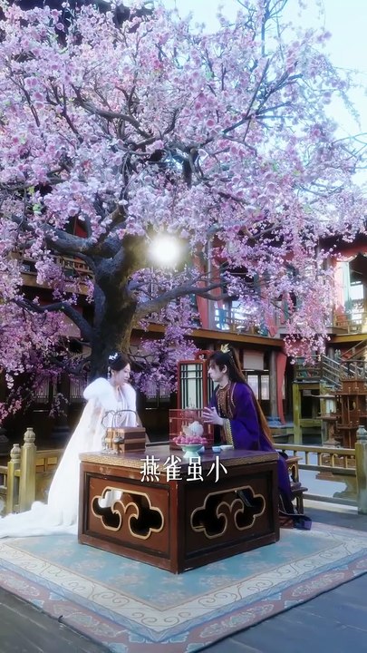 夜问 | Eng Subs