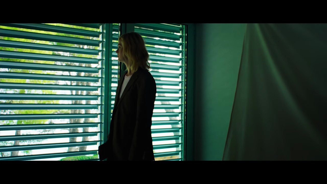 Rosebush Pruning Movie