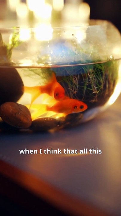 The rescue i never had Full Engsub