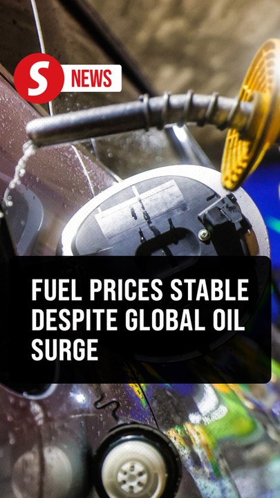Govt maintains fuel subsidies to cushion impact of rising global oil prices