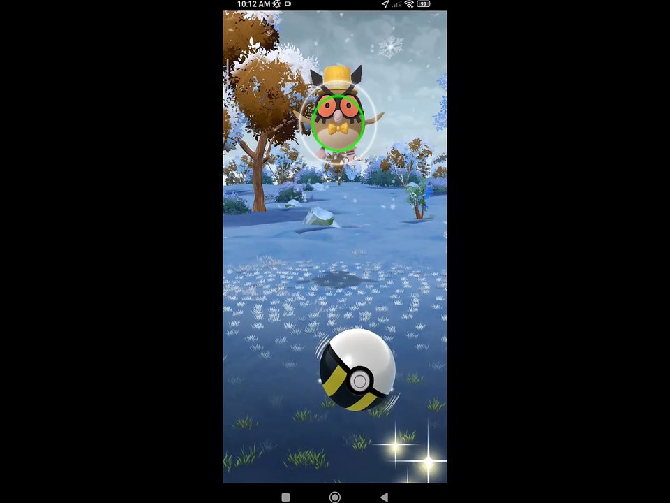 Pokémon GO-New Years Hat Hoothoot
