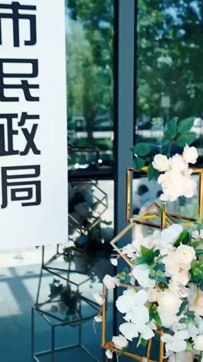 Tears to triumph Rewriting fate with the ledger The Runaway Bride Returns [Full Movie] [Free Online HD]Full EP - Full