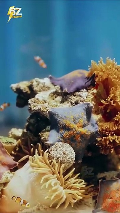 Light in Winter - Full