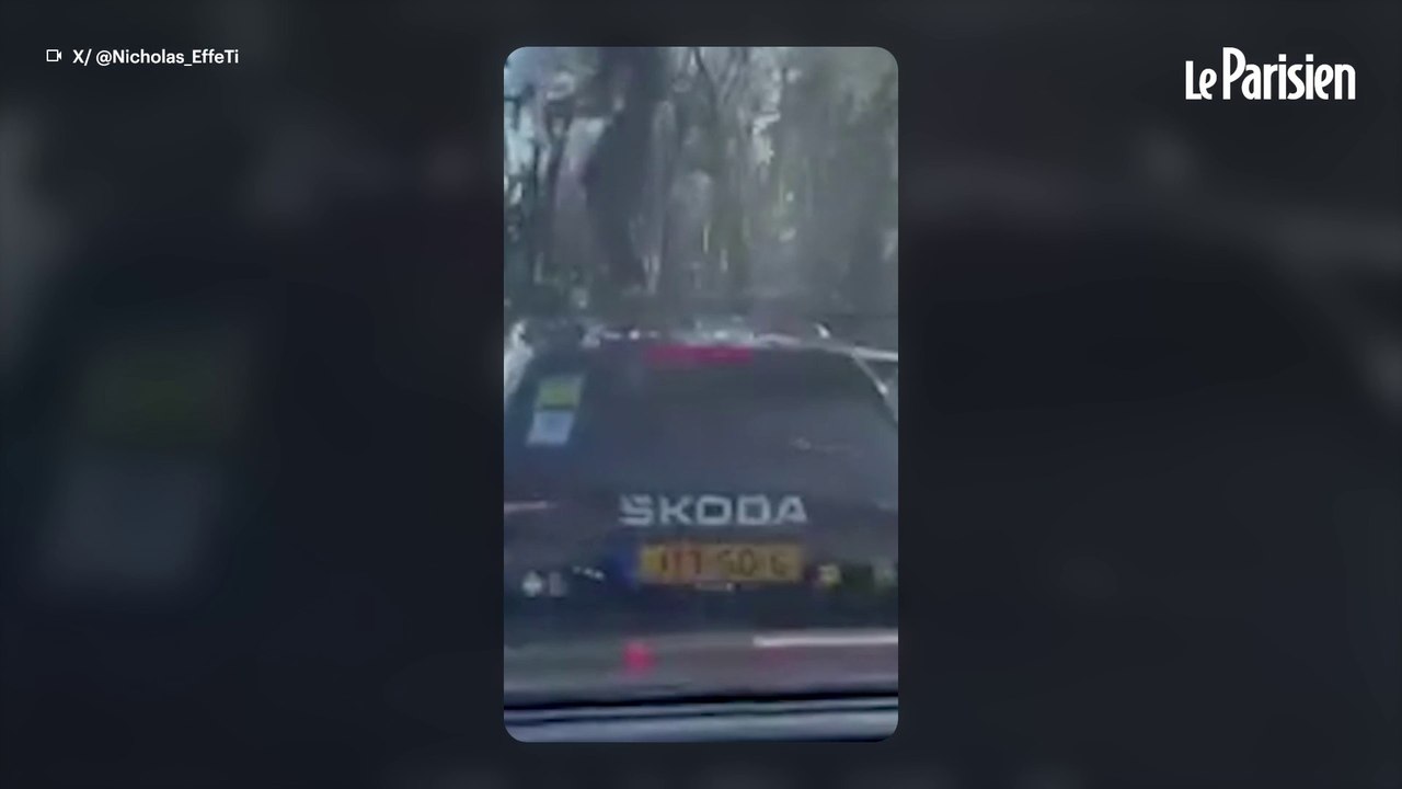 Cyclisme : tentative de vol de vélo par deux spectateurs en pleine course