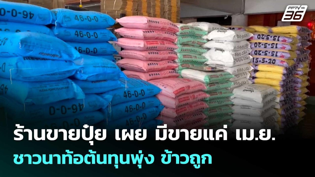 ร้านขายปุ๋ย เผย มีขายแค่ เม.ย. - ชาวนาท้อต้นทุน...