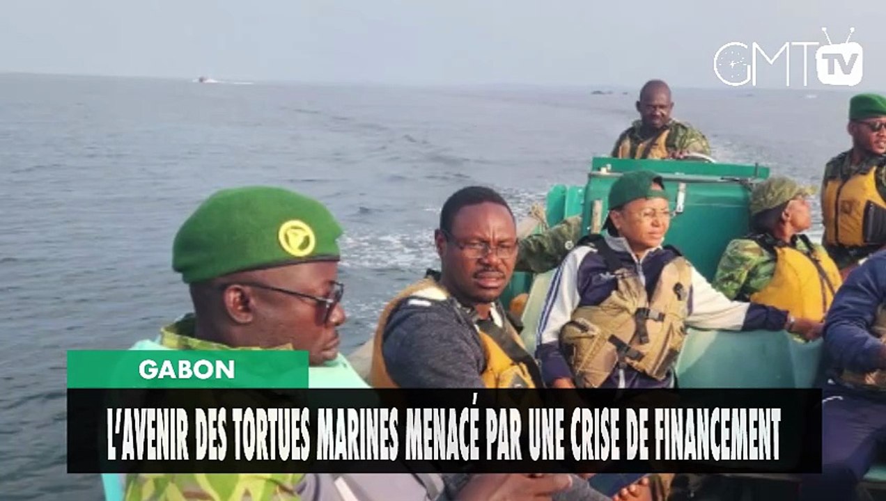 [#Reportage]  Gabon : L’avenir des tortues marines menacé par une crise de financement