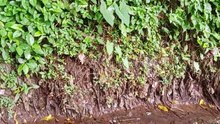 Kedung Monggo cetek 1