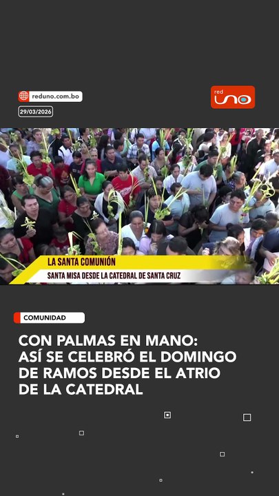 Así se vivió la misa de Domingo de Ramos