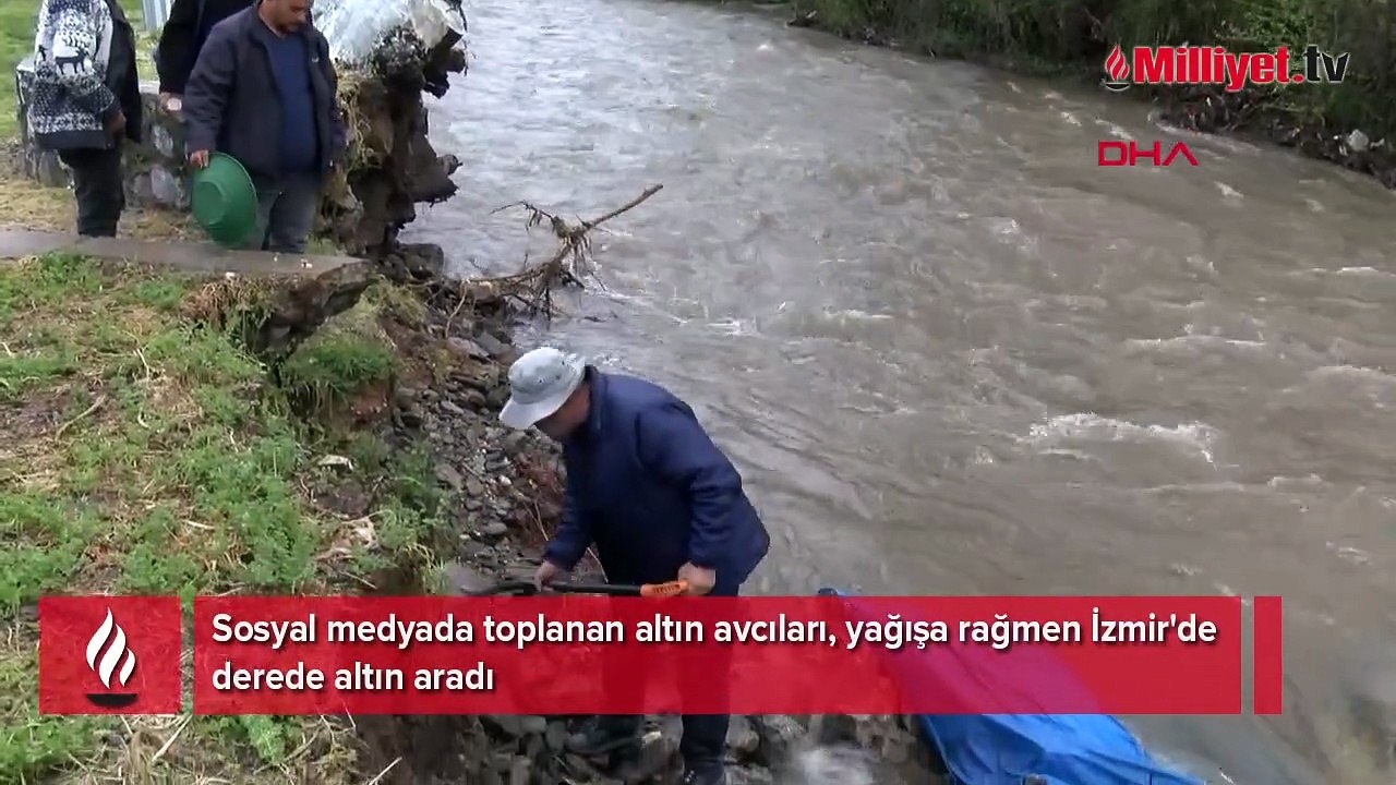 Sosyal medyada toplanan altın avcıları, yağışa rağmen İzmir'de derede altın aradı