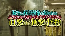 数々の怪奇現象で知られる バミューダトライアングルで 目撃された衝撃の怪物