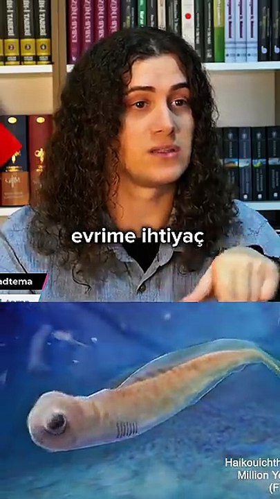 Evrimin Kanıtı - Diamond Tema