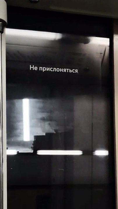 Tampa Bay Times: Crowds gather across Tampa Bay for ‘No Kings’ protests