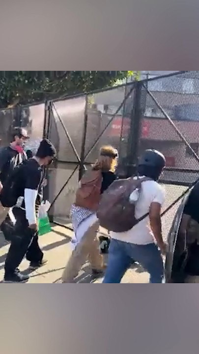 ‘No Kings’ protests turn violent in LA
