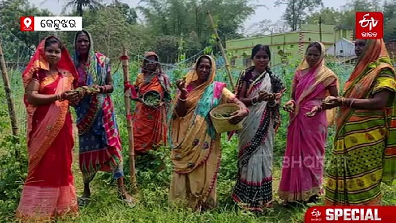 ଗୃହିଣୀରୁ ସଫଳ ଚାଷୀ; ପୁରୁଷଙ୍କଠୁ କୌଣସି ଗୁଣରେ କମ୍ ନୁହଁନ୍ତି ଶକୁନ୍ତଳା