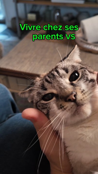 Elle me manque 🥲