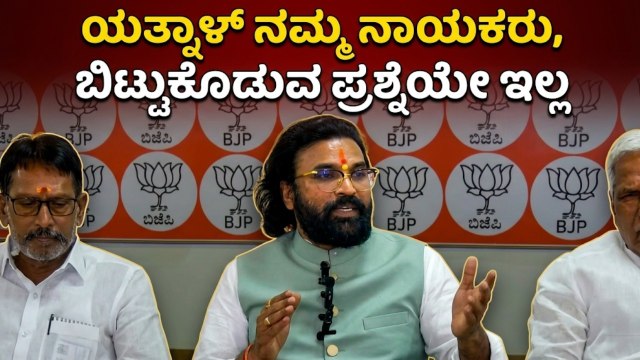ಯತ್ನಾಳ್ ಪ್ರಚಾರಕ್ಕೆ ಬಂದ್ರೆ ಬಿಜೆಪಿಗೆ ಆನೆ ಬಲ! ಶ್ರೀರಾಮುಲು | Sriramulu on Basanagouda Patil Yatnal
