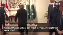 Pakistan Dışişleri Bakanı Dar, Mısırlı mevkidaşını karşılarken böyle düştü