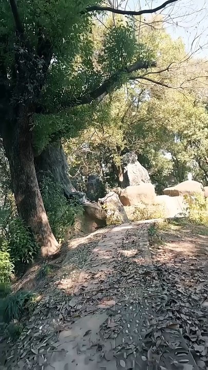 Too Late for Apologies, Too Late for Me - #englishsub #fullmovie 🍿